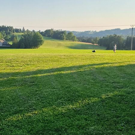 Roubenka Mlyn U Skaly Destne V Orlickych Horach Volne Terminy 5 Bytu Apartamento Exterior foto