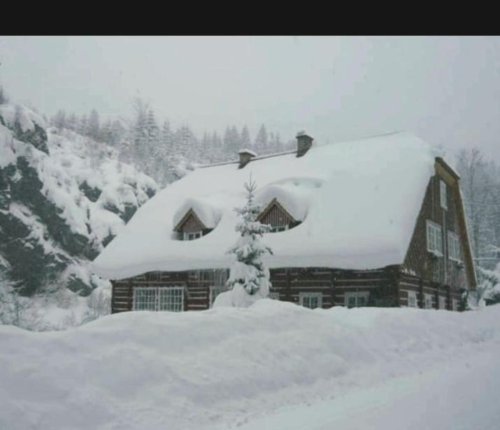 Roubenka Mlyn U Skaly Destne V Orlickych Horach Volne Terminy 5 Bytu Apartamento Exterior foto