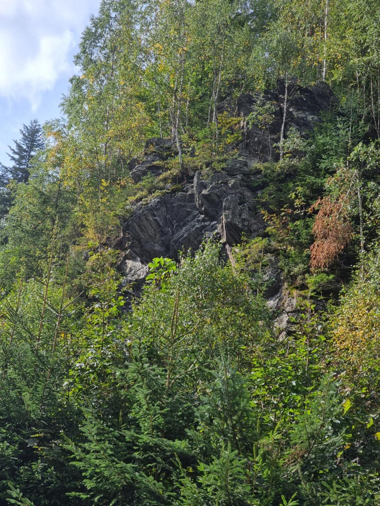 Roubenka Mlyn U Skaly Destne V Orlickych Horach Volne Terminy 5 Bytu Destné v Orlických horách Exterior foto