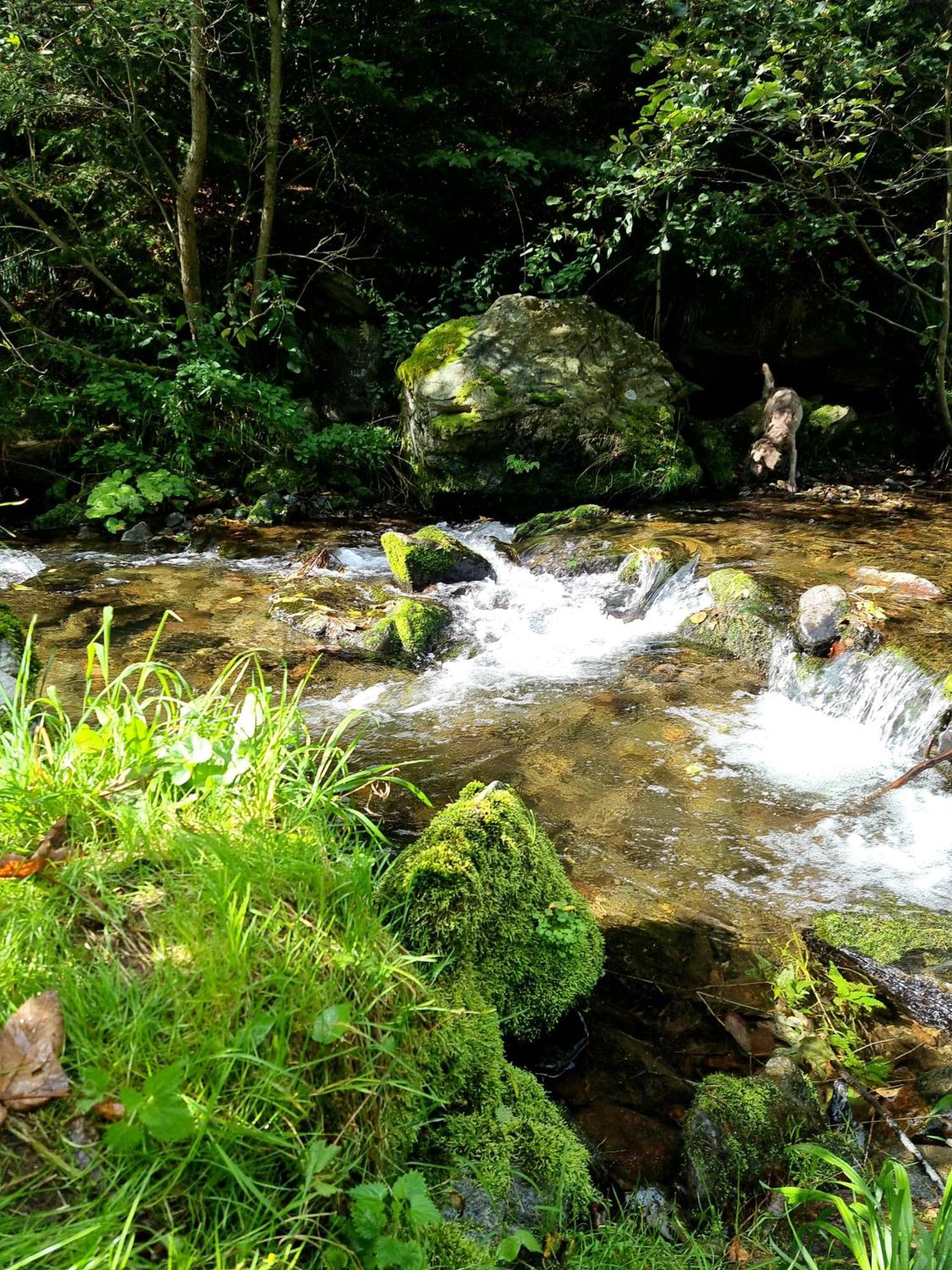 Roubenka Mlyn U Skaly Destne V Orlickych Horach Volne Terminy 5 Bytu Apartamento Exterior foto