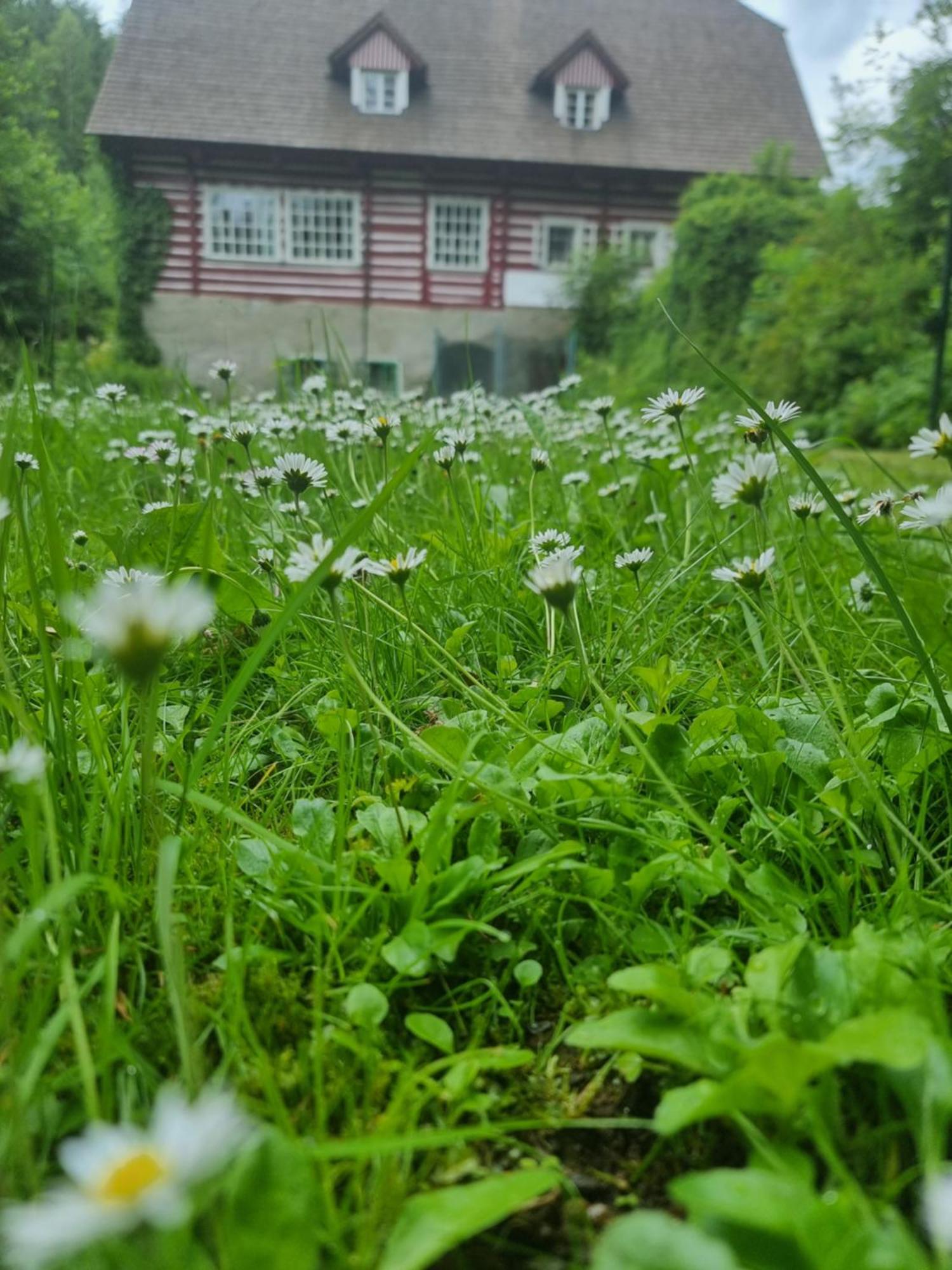 Roubenka Mlyn U Skaly Destne V Orlickych Horach Volne Terminy 5 Bytu Apartamento Exterior foto