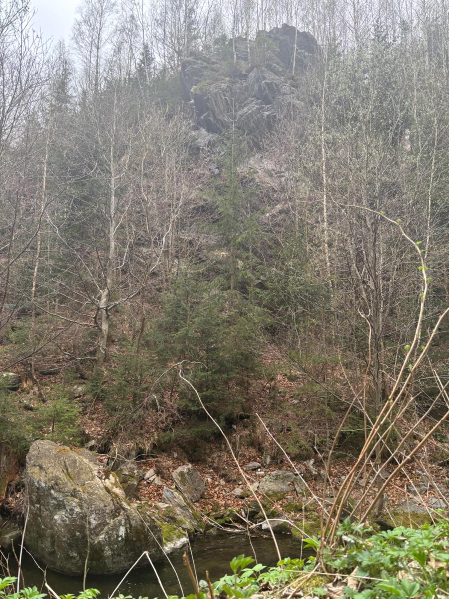 Roubenka Mlyn U Skaly Destne V Orlickych Horach Volne Terminy 5 Bytu Destné v Orlických horách Exterior foto